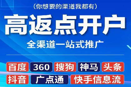 竞价排名案例：跨平台推广效果分析